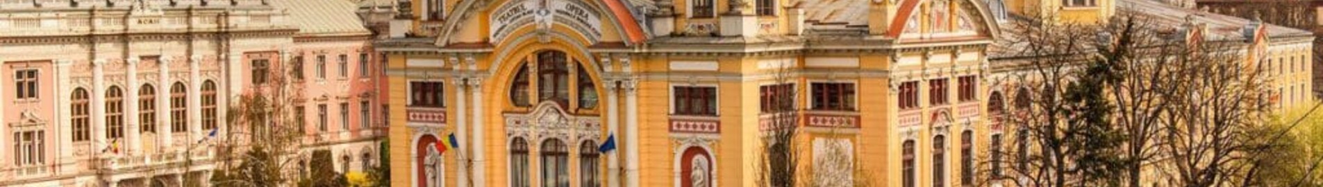 Cluj Napoca : eralennuki rentimine 