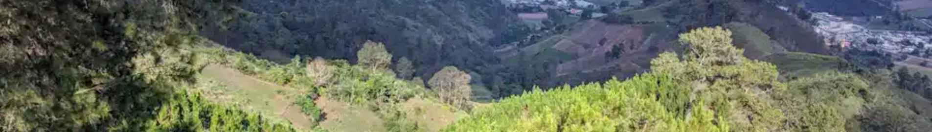 Constanza : eralennuki rentimine