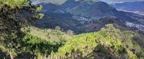 Constanza : eralennuki rentimine