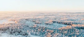 Taani: eralennuki rentimine