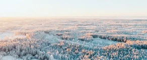 Soome: eralennuki rentimine