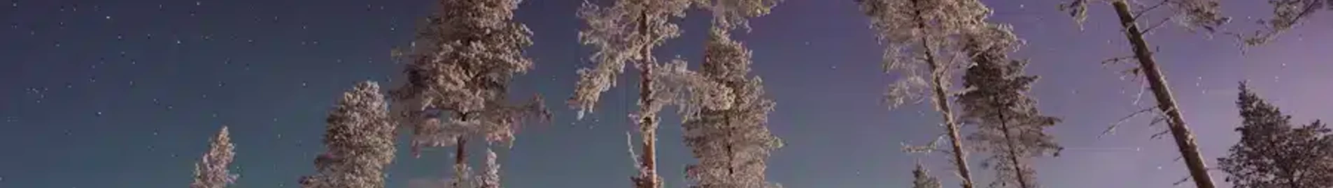 Gallivare Lapland : eralennuki rentimine