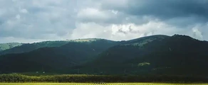 Gelendzhik : eralennuki rentimine