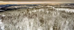 Hagfors : eralennuki rentimine
