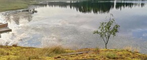 Halli: eralennuki rentimine