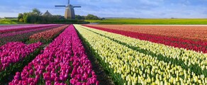 Hoogeveen : eralennuki asukoht