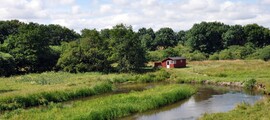 Padborg Krusa : eralennuki rentimine 