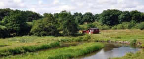 Karup: eralennuki rentimine 