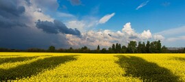 Donetsk: eralennuki rentimine