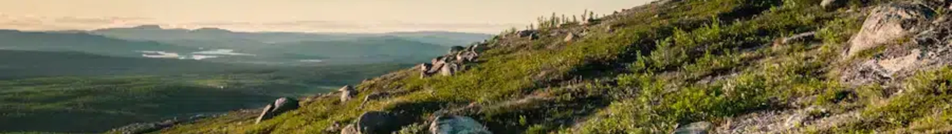 Kiruna : eralennuki rentimine