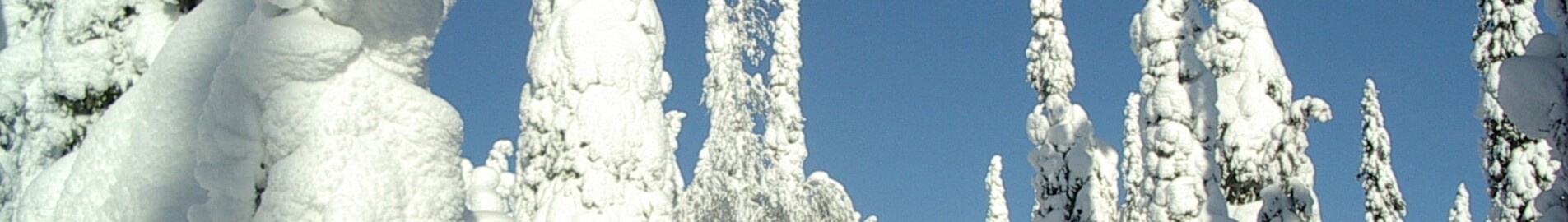 Kuusamo : eralennuki rentimine 