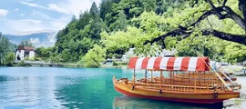 Portoroz : eralennuki rentimine