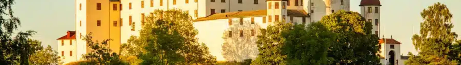 Lidkoping : eralennuki rentimine