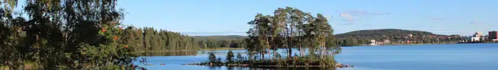 Ludvika: eralennuki rentimine