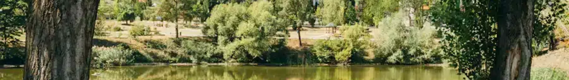 Moldova : eralennuki rentimine
