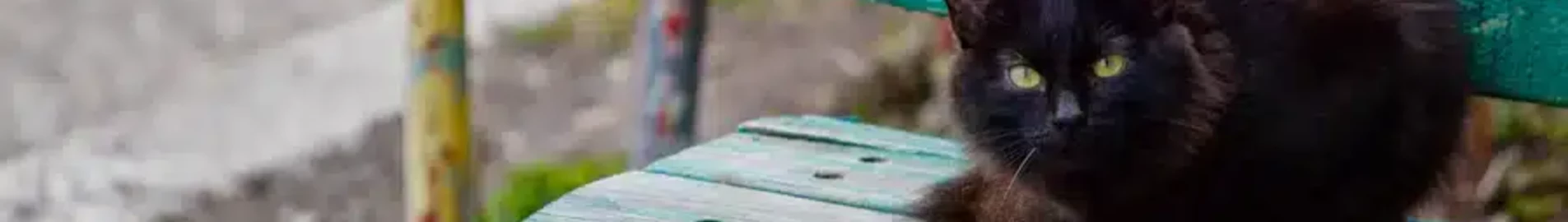 Nizhnekamsk Begishevo : eralennuki rentimine