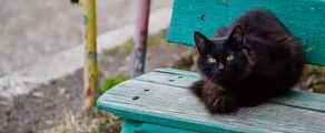 Nizhnekamsk Begishevo : eralennuki rentimine