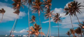 Santo Domingo De Las Americas: eralennuki asukoht