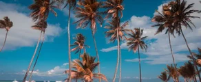 Punta Cana: eralennuki rentimine
