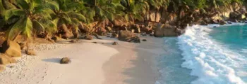Nigeria : location de jet privé