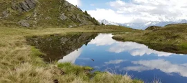 Salzburg : eralennuki rentimine 