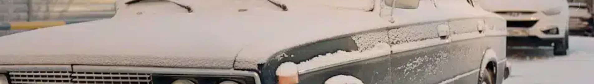 Surgut : eralennuki rentimine