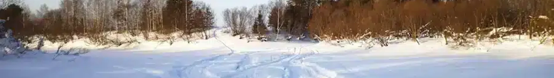 Syktyvkar : eralennuki rentimine