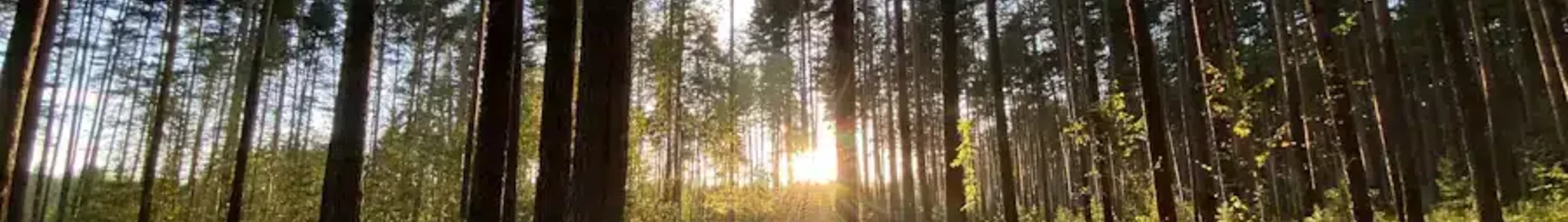 Tver Migalovo: eralennuki rentimine