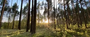 Tver Migalovo: eralennuki rentimine