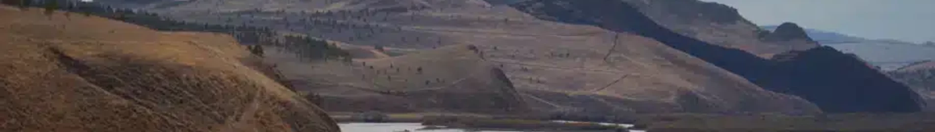 Ulan-ude Mukhino : eralennuki rentimine