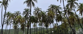 Union Island : eralennuki rentimine