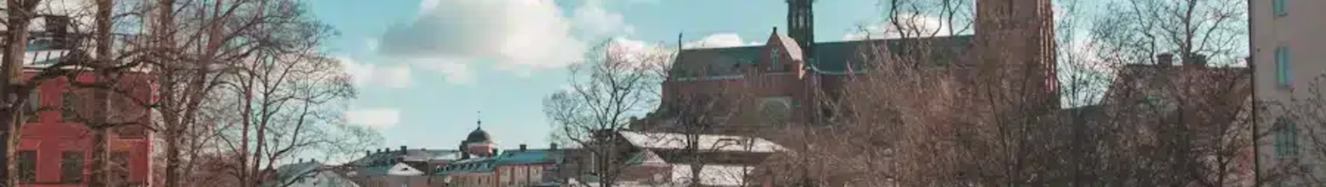 Uppsala : eralennuki rentimine