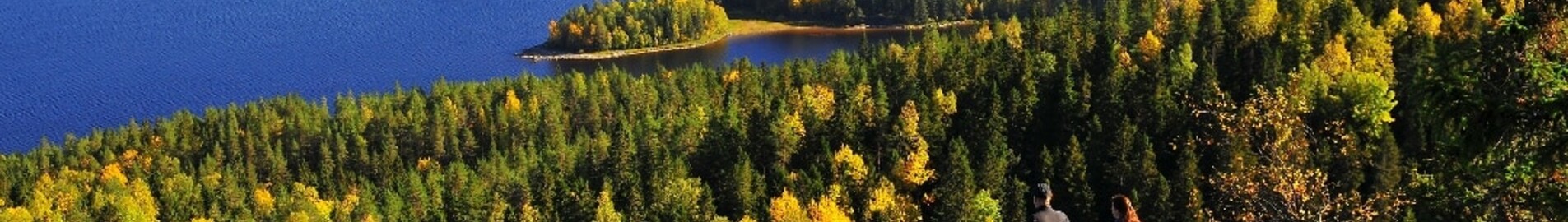 Varkaus : eralennuki rentimine 