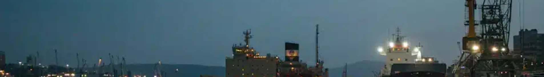 Vladivostok Knevichi: eralennuki rentimine