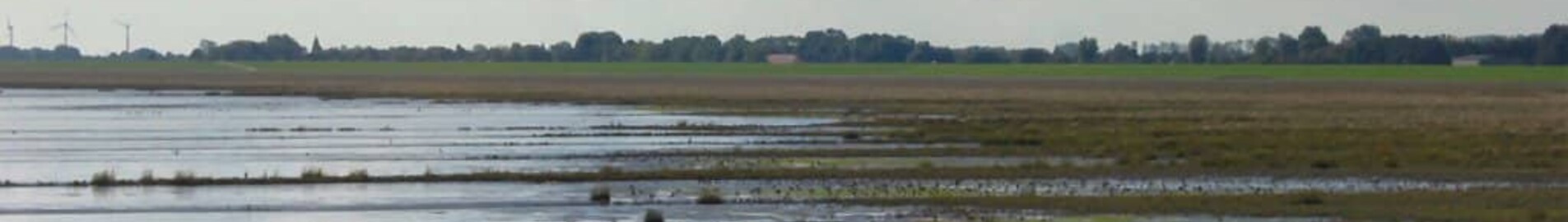 Wilhelmshaven Mariensiel : eralennuki rentimine 