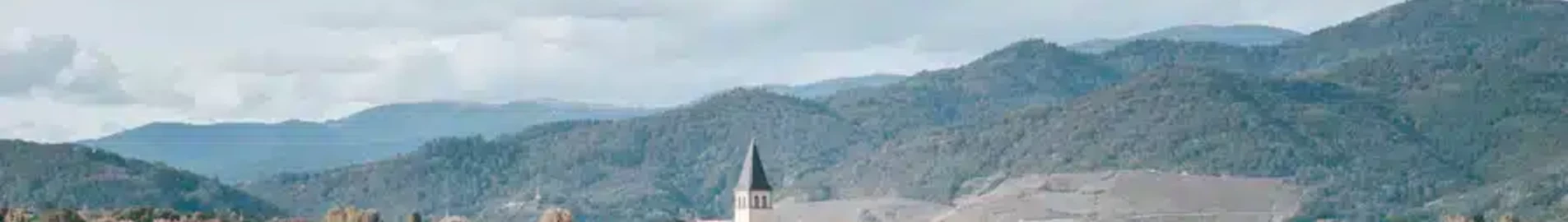 Lõikamine