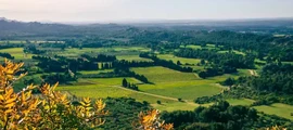 Chalon-Champforgeuil: eralennuki rentimine 