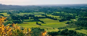 Evreux Fauville: eralennuki rentimine