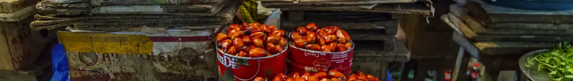 Yamoussoukro : eralennuki rentimine