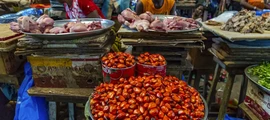 San Pedro : eralennuki rentimine