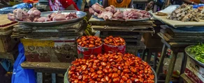 Korhogo : eralennuki rentimine