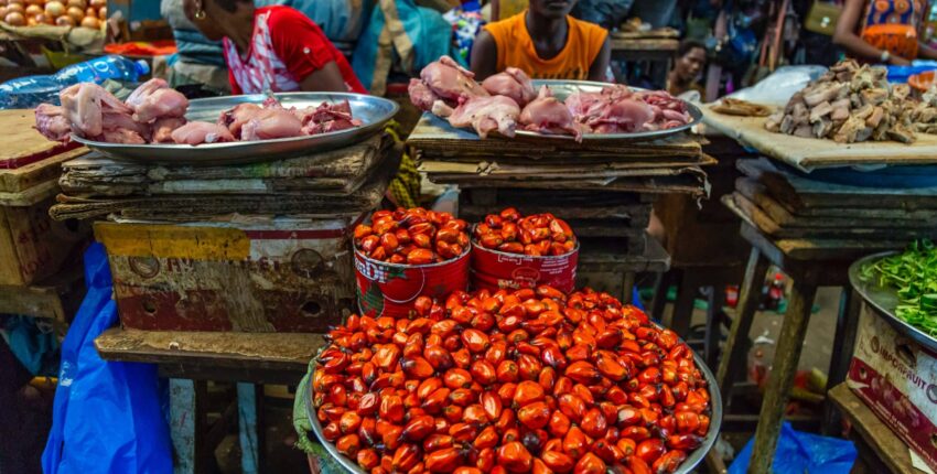Côte d'Ivoire: eralennuki rentimine