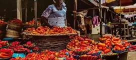 Ibadan : eralennuki rentimine