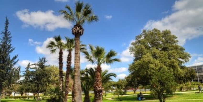 Tunis Carthage: eralennuki rentimine