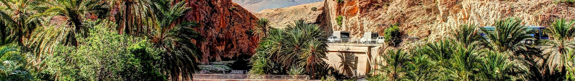 Biskra: eralennuki rentimine 