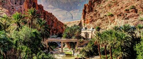 Biskra: eralennuki rentimine 