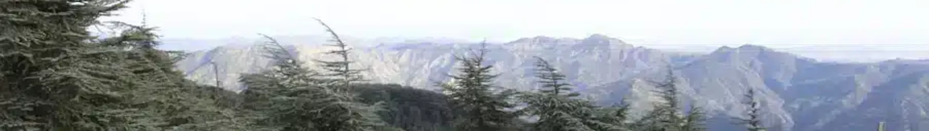 Blida: eralennuki rentimine
