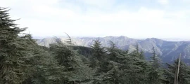 Annaba: eralennuki rentimine