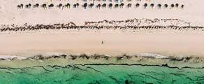 Djerba Zarzis : eralennuki rentimine
