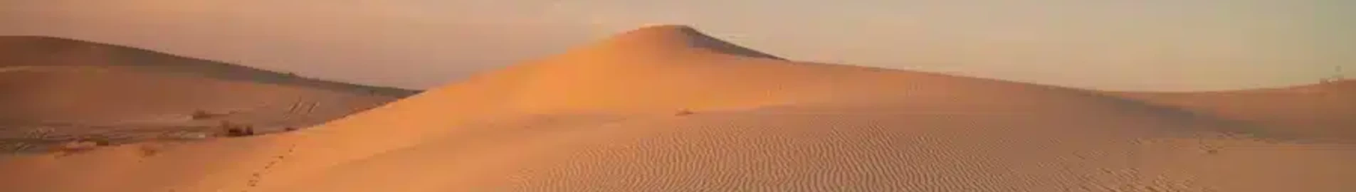 El Oued Guemar: eralennuki rentimine
